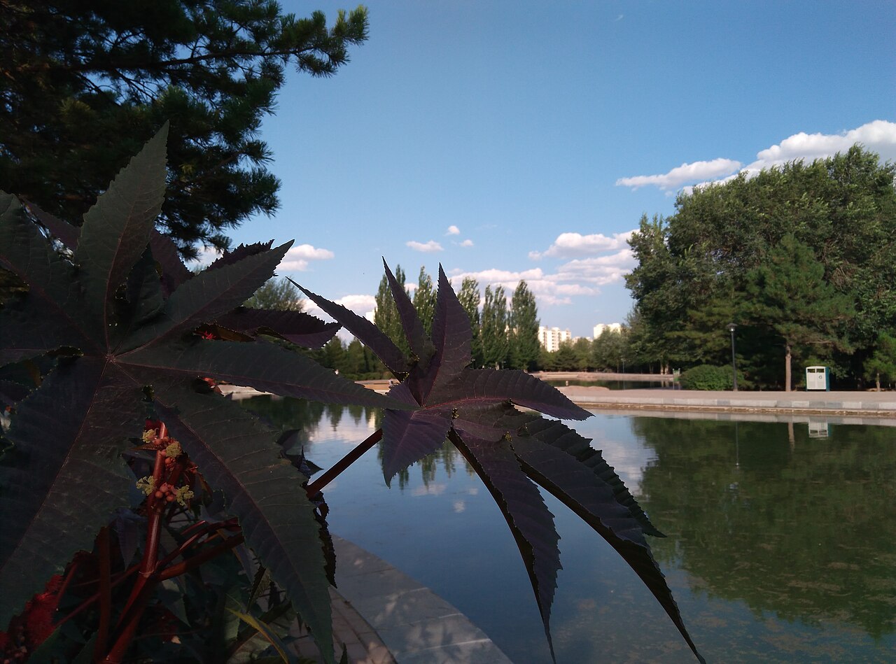 Baotou