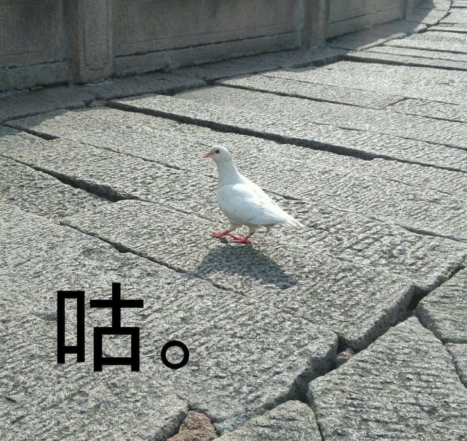 Jiuhuashan