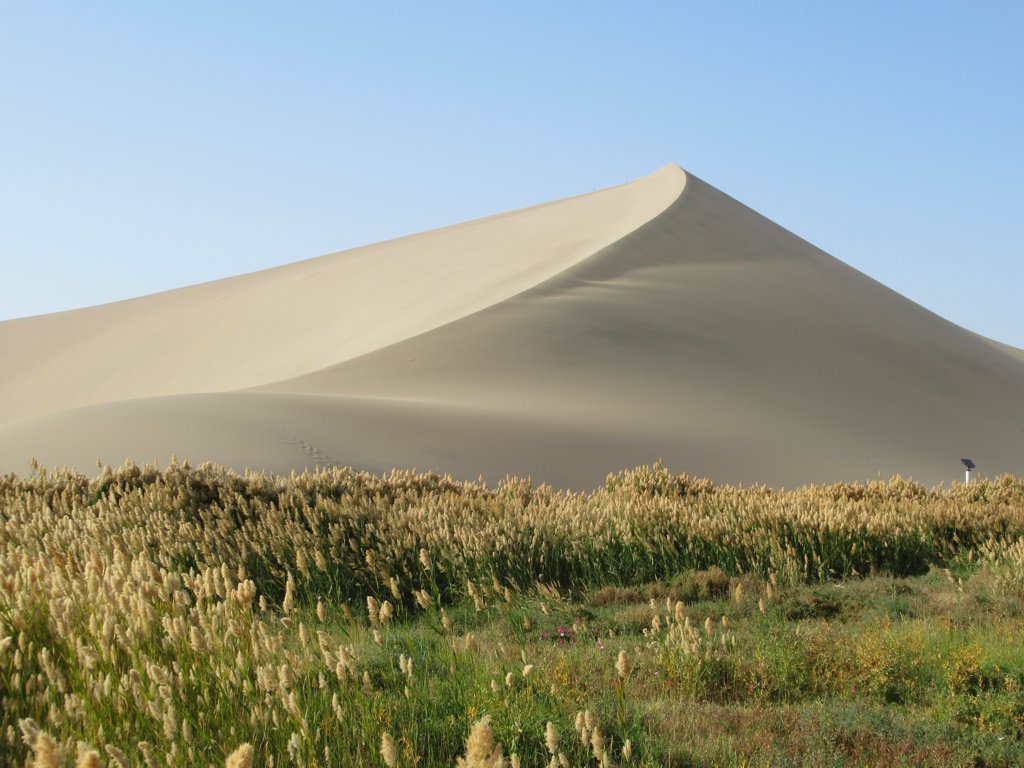 دونهوانغ