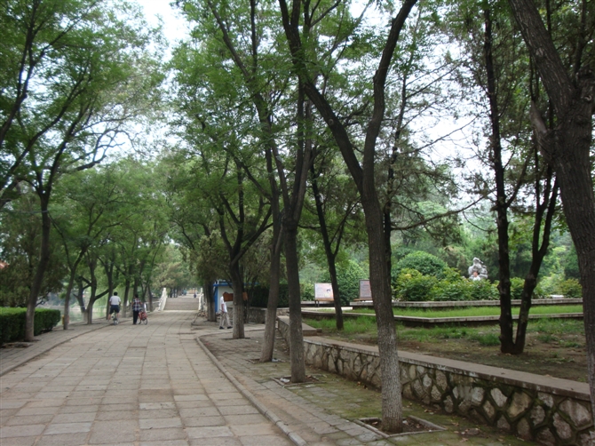 Tongling