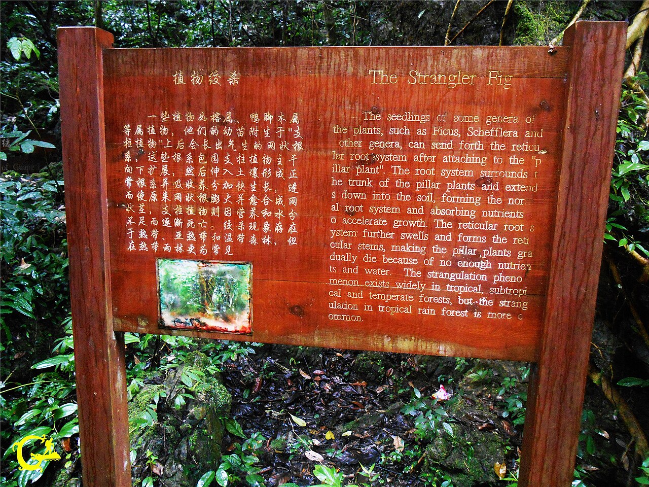 河池