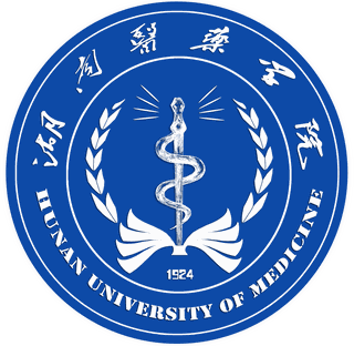 Hunan University of Medicine