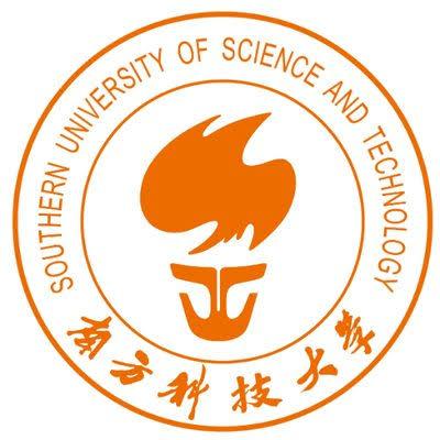 Southern University of Science and Technology
