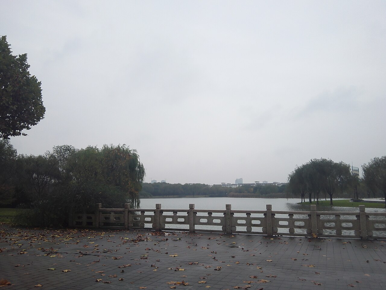 جامعة دونغخوا