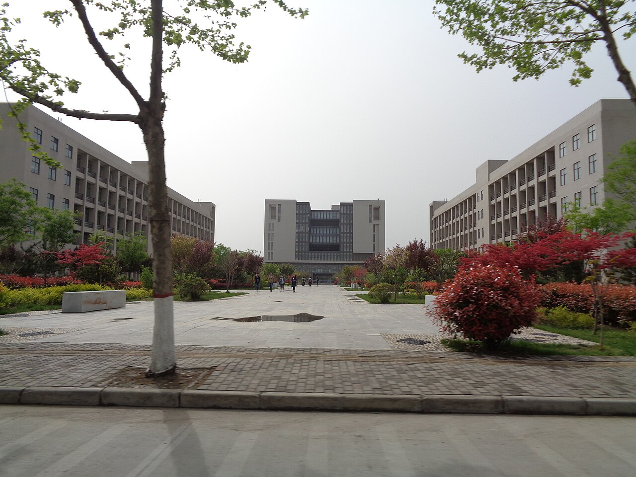 جامعة شيان للبترول