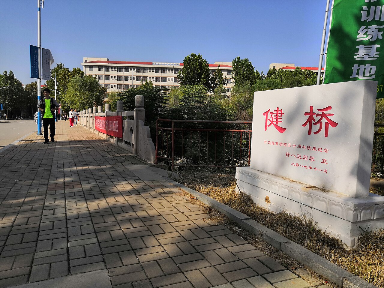 山东中医药大学