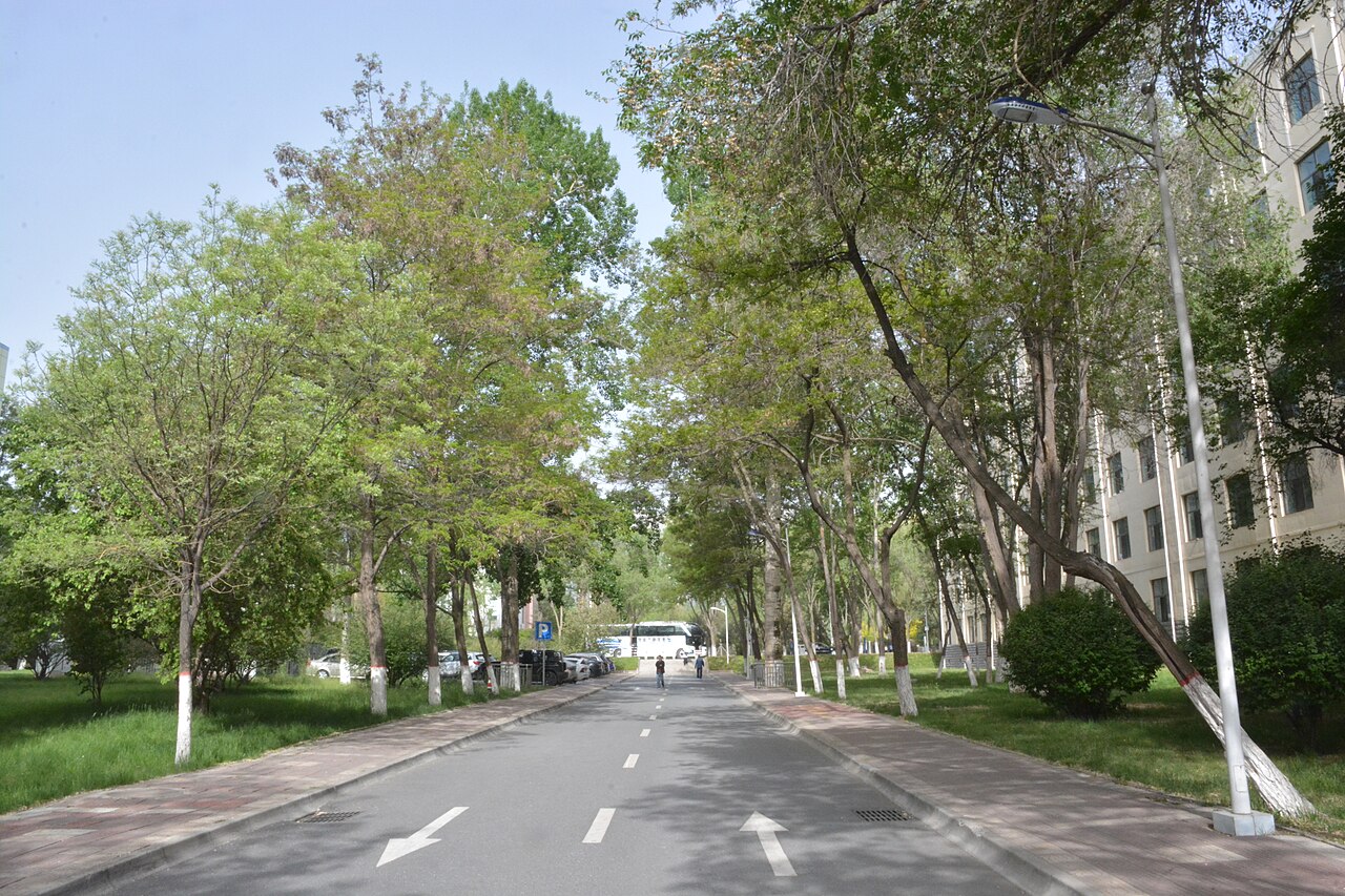 Qinghai University