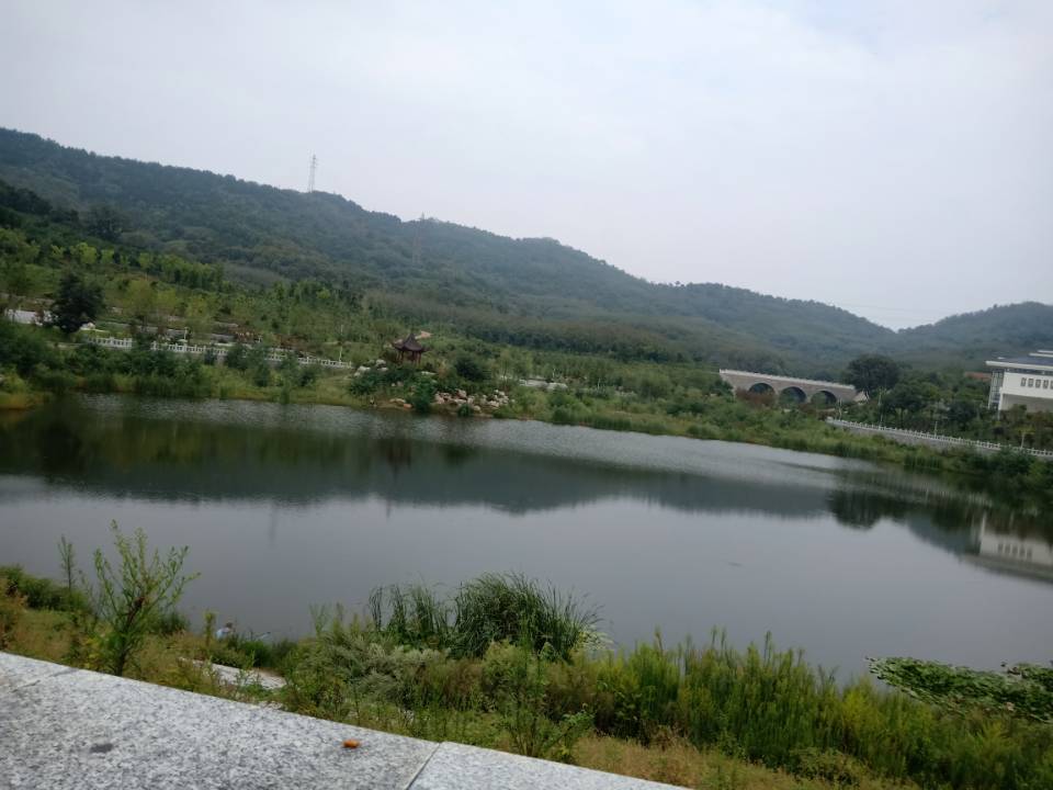 جامعة لودونغ