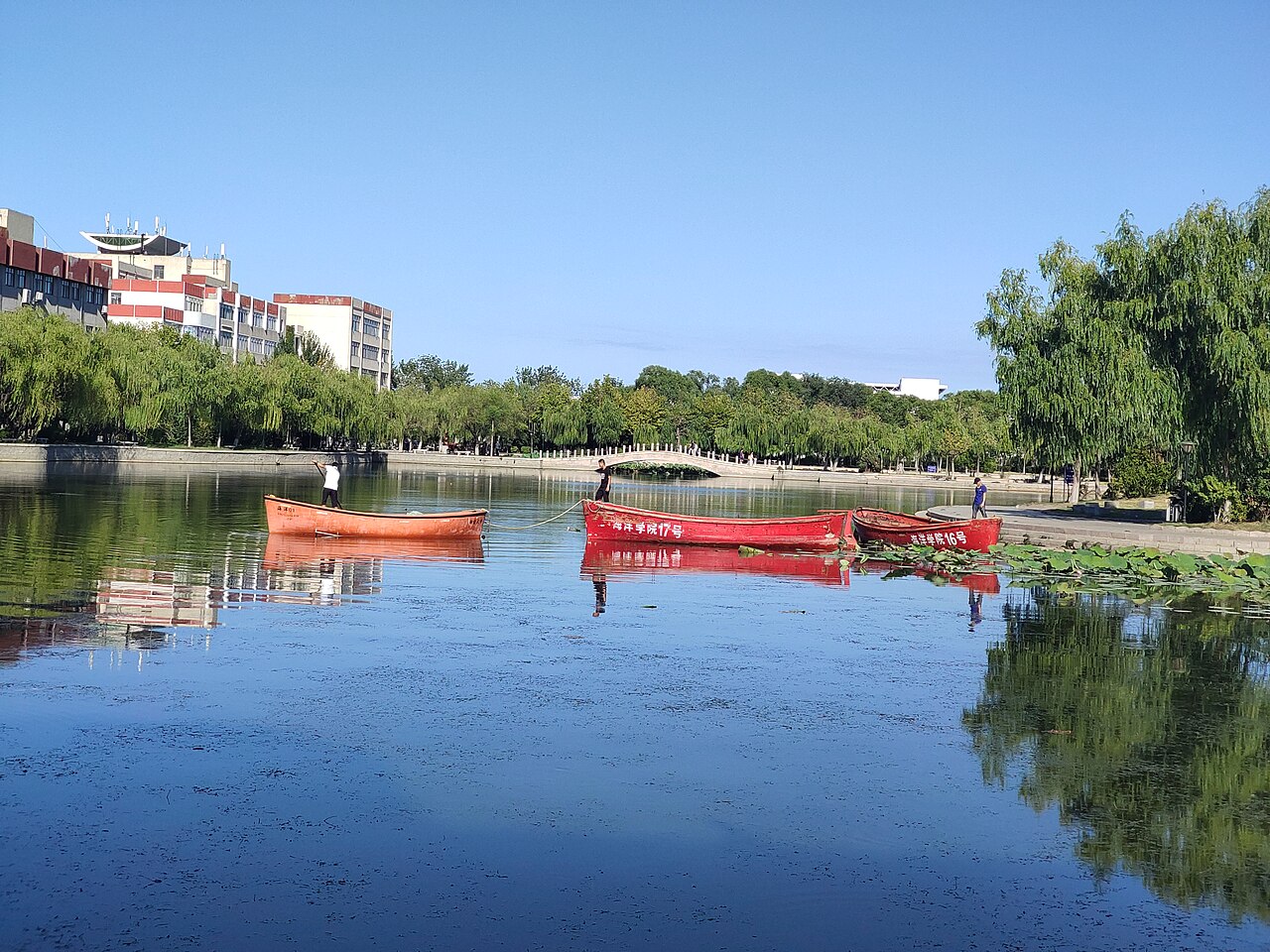 烟台大学