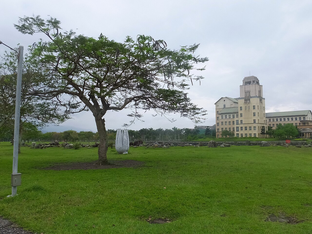 جامعة دونغخوا