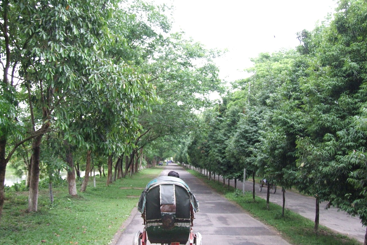 Shandong University of Science and Technology