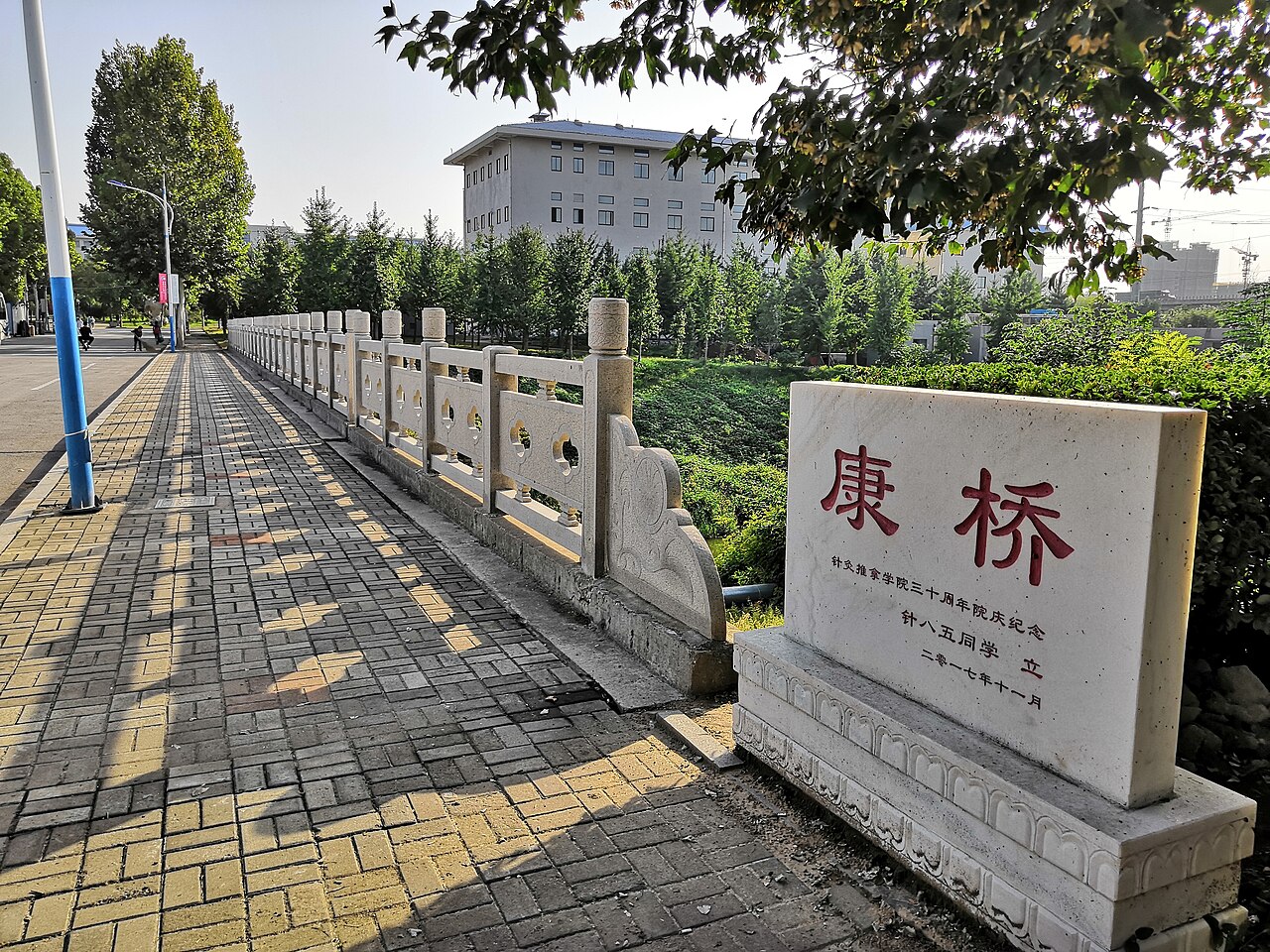 山东中医药大学
