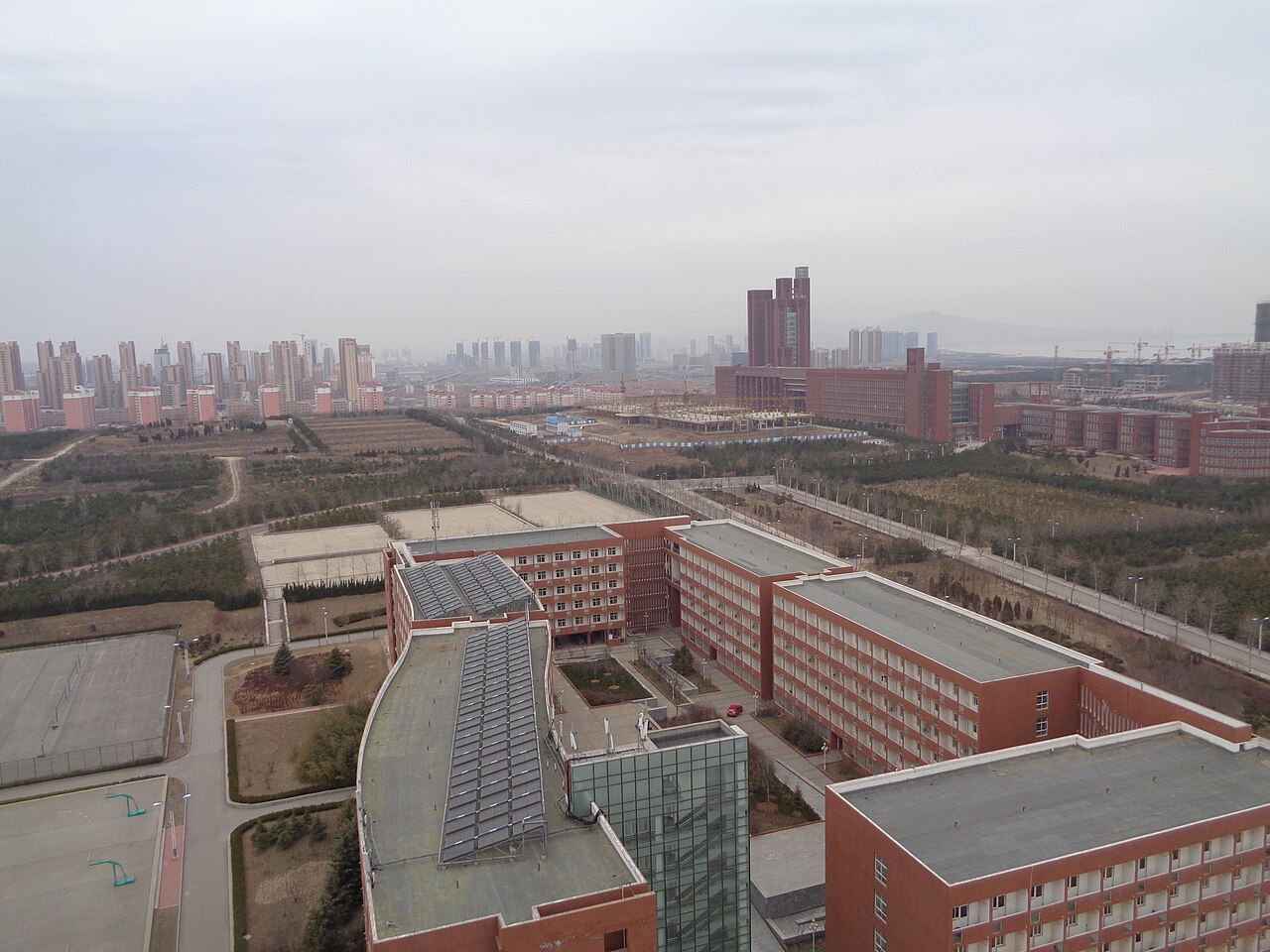 烟台大学