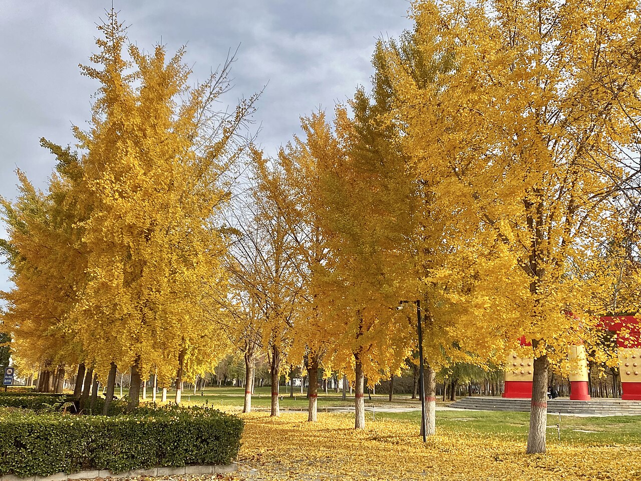 河北经贸大学