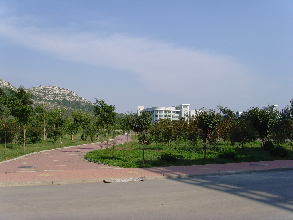 جامعة شاندونغ للنساء