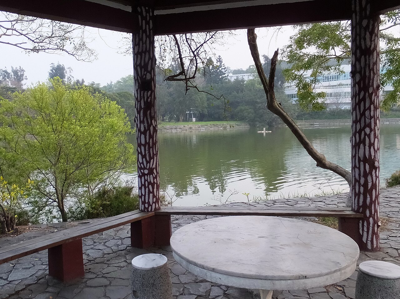 集美大学
