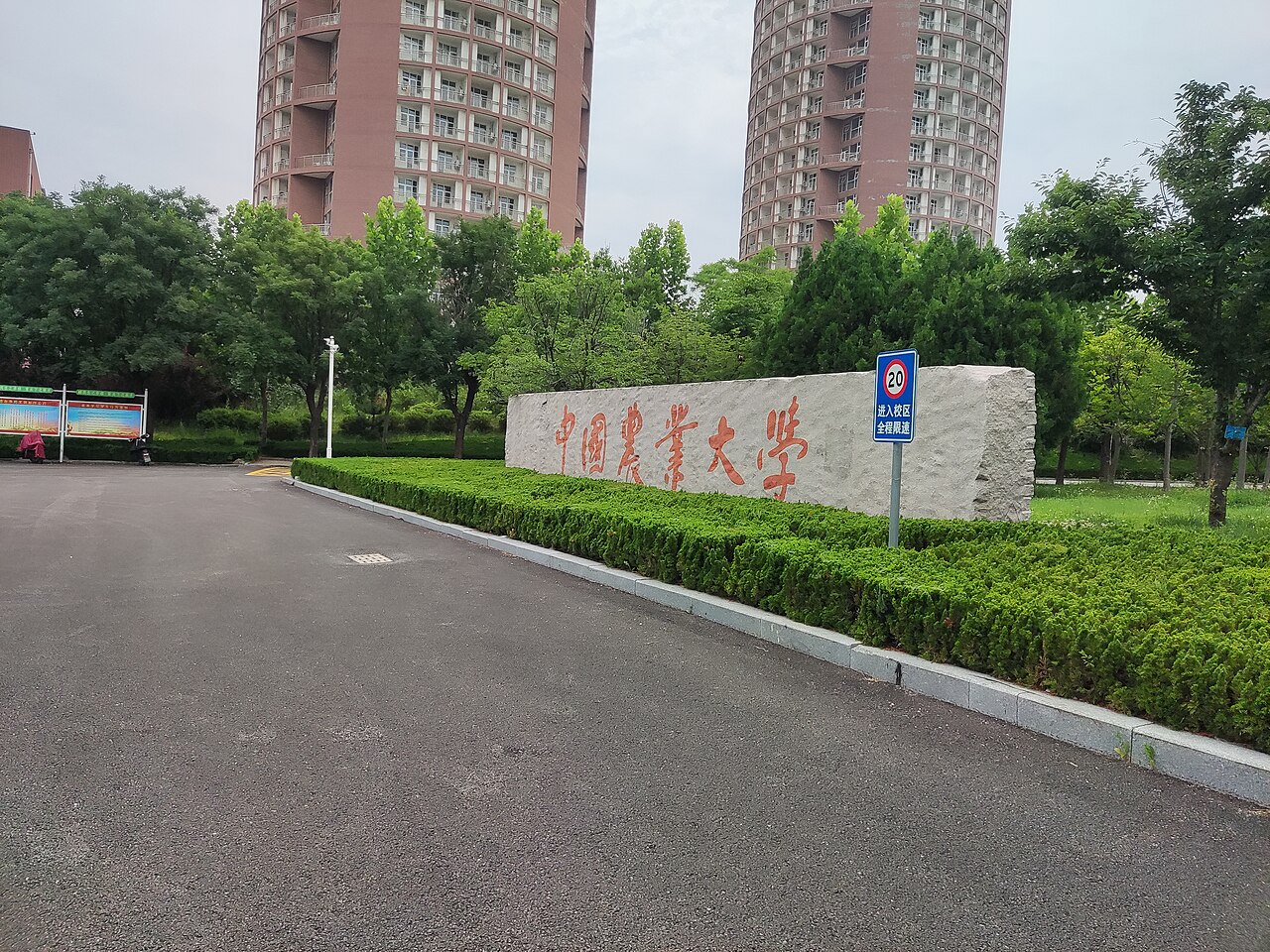 烟台大学