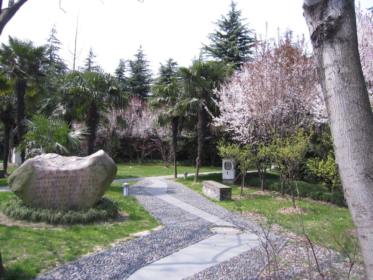 中国药科大学