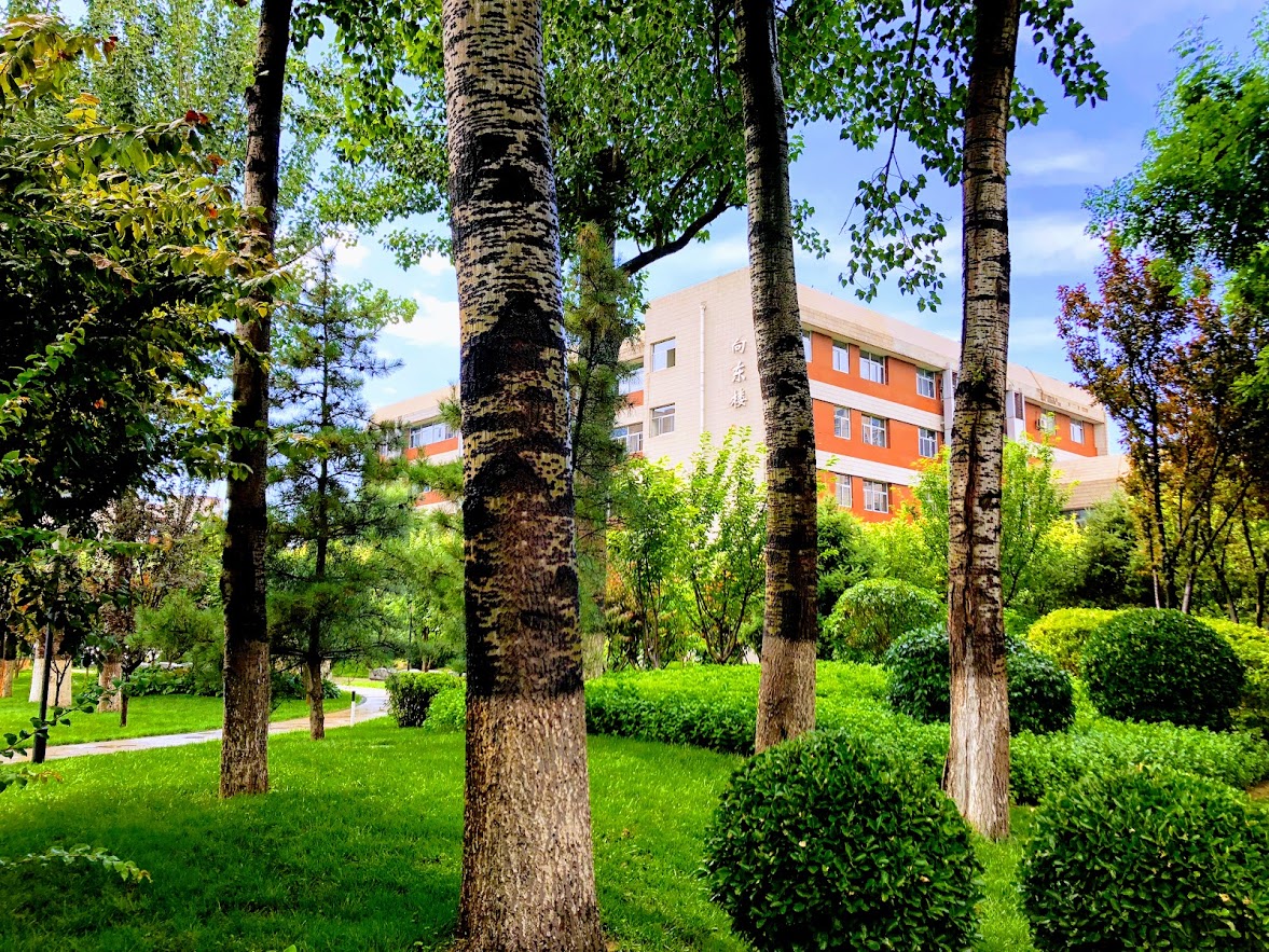 جامعة العاصمة للاقتصاد والأعمال