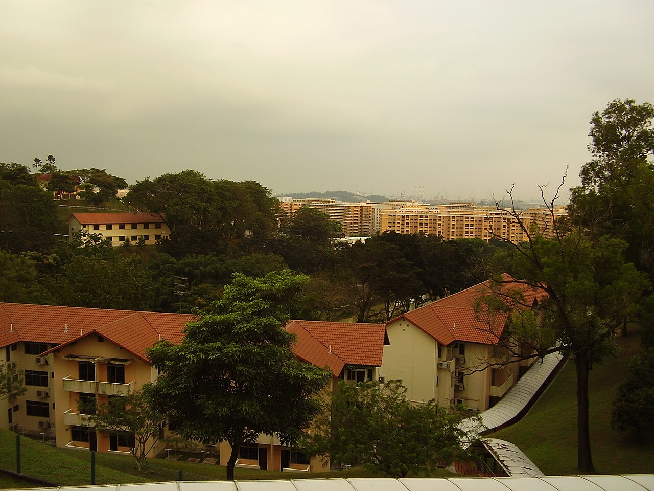南阳理工学院
