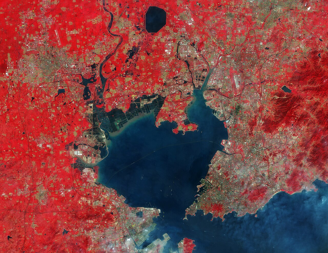 Qingdao City University