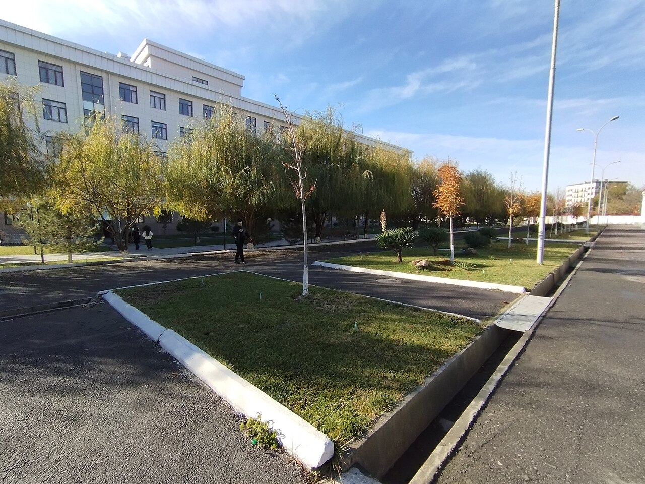 جامعة داليان للنقل