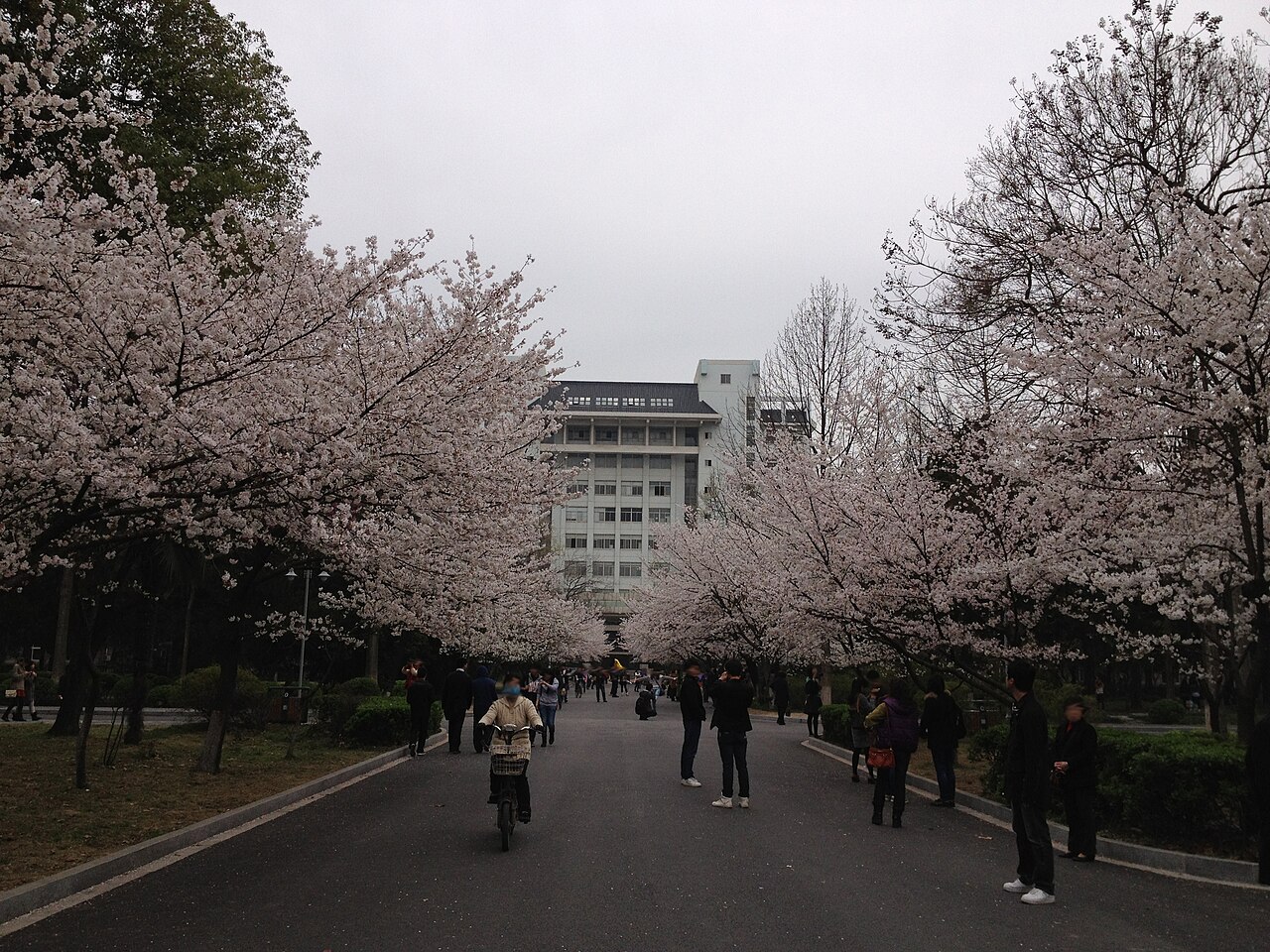 南京林业大学