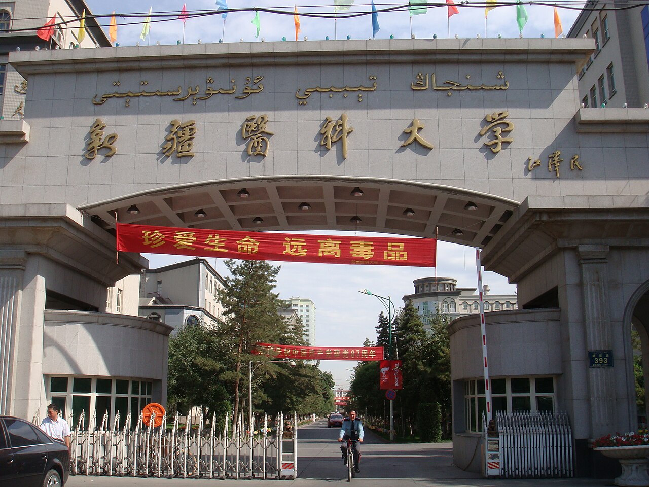 جامعة شينجيانغ