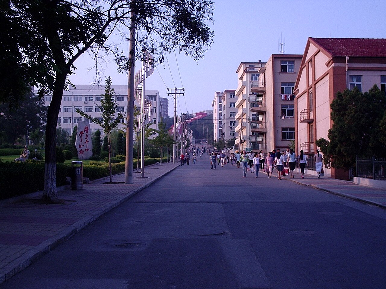 جامعة داليان