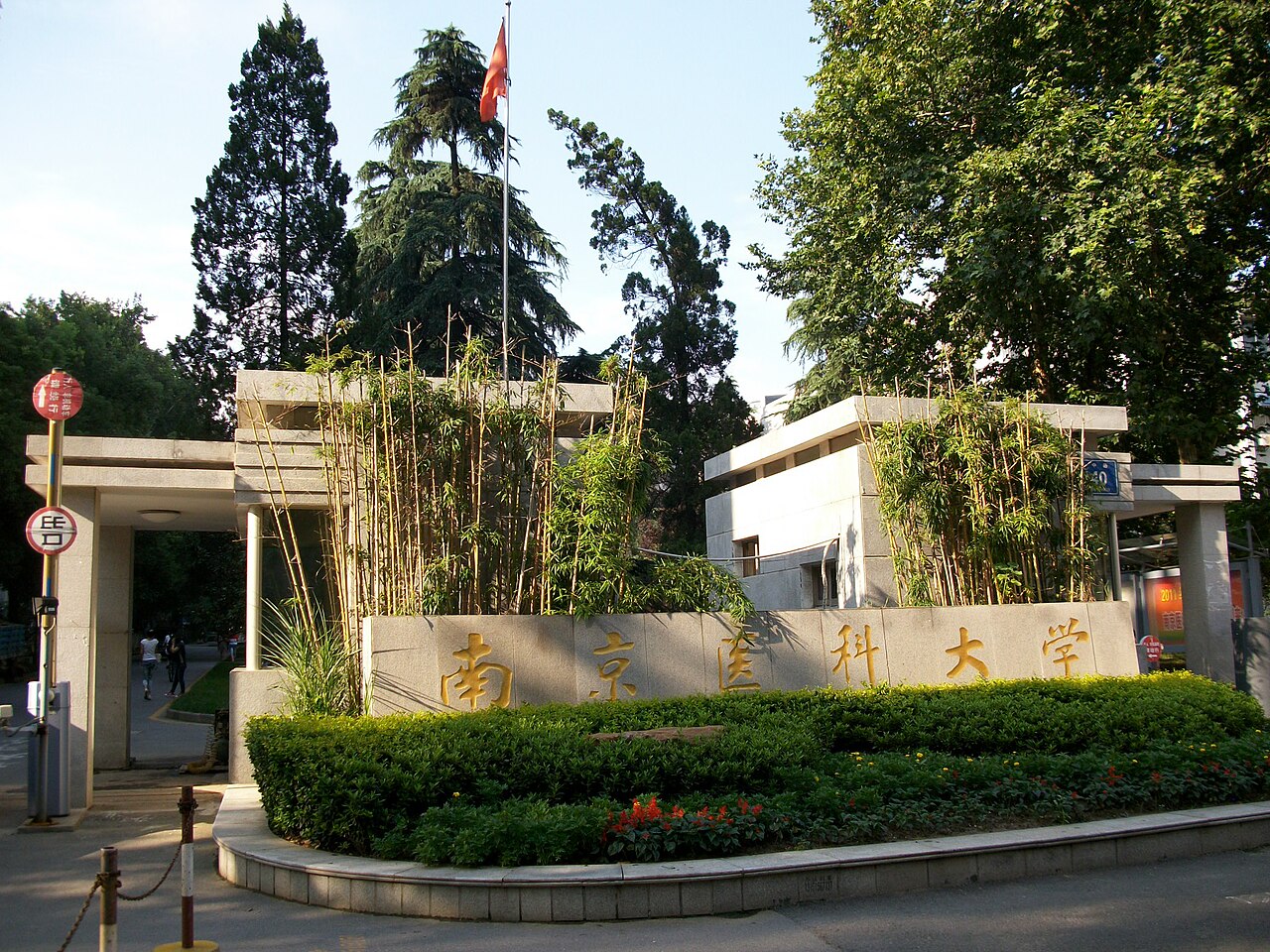 جامعة نانجينغ الطبية