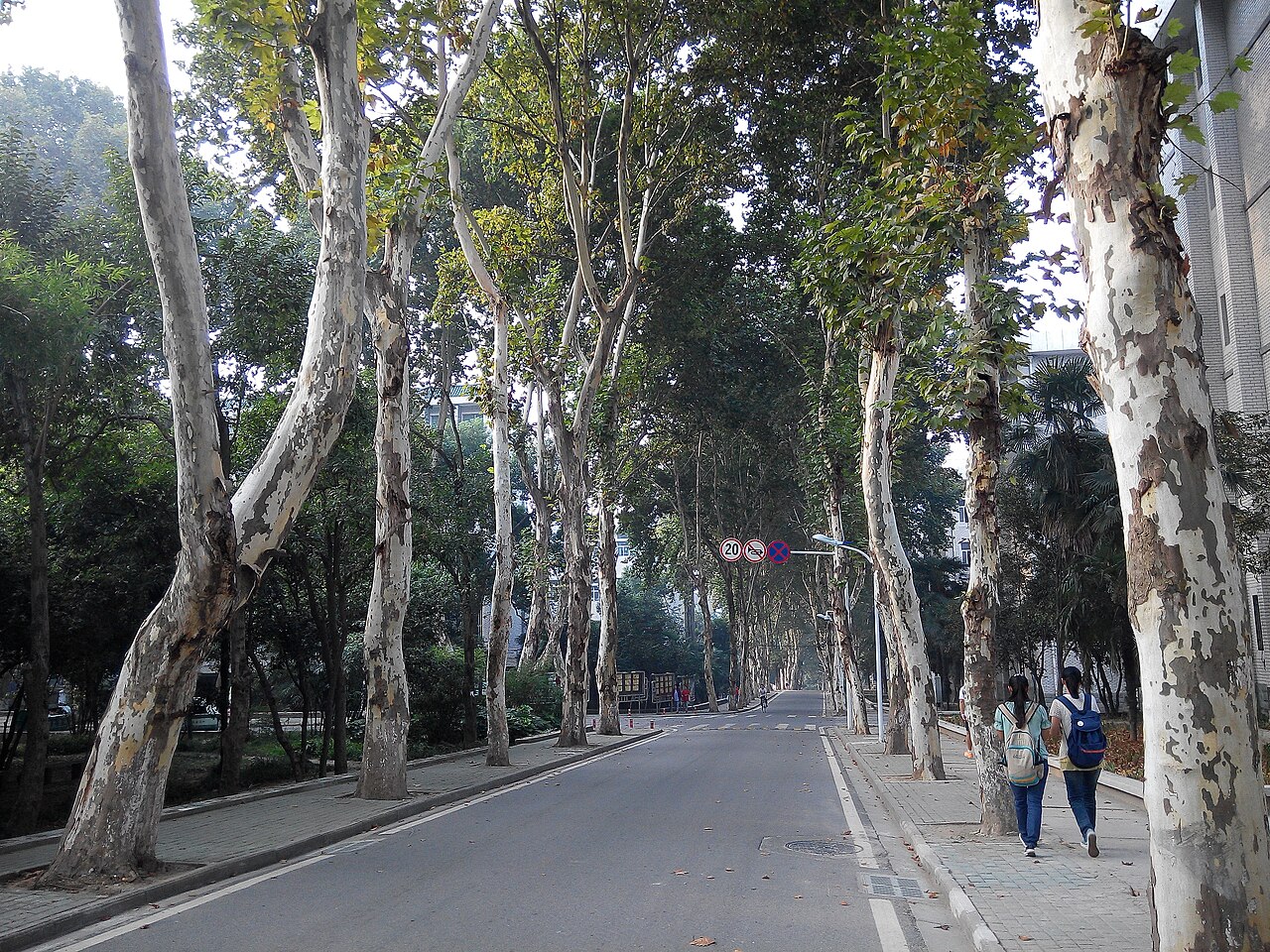 武汉理工大学
