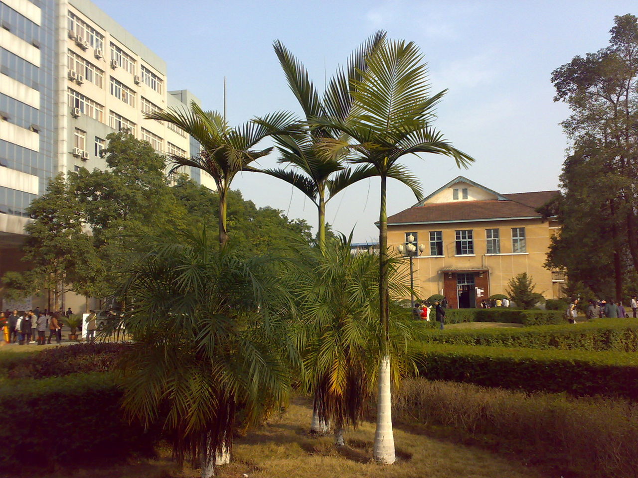 Chongqing Three Gorges University