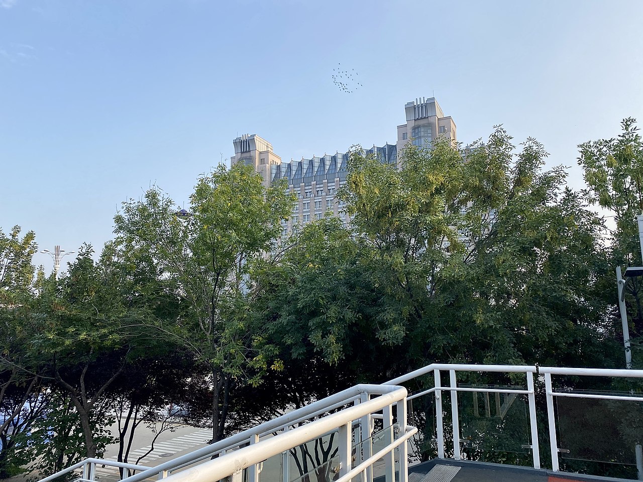 Hebei University