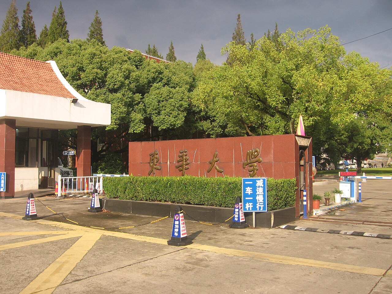 جامعة دونغخوا