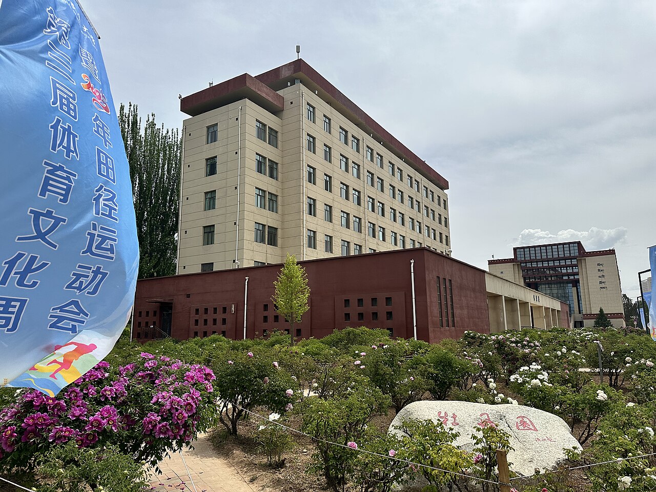 Qinghai University