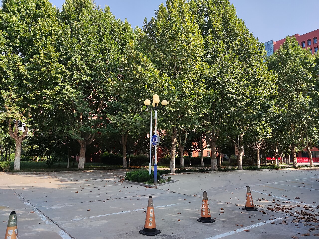 جامعة آنشون