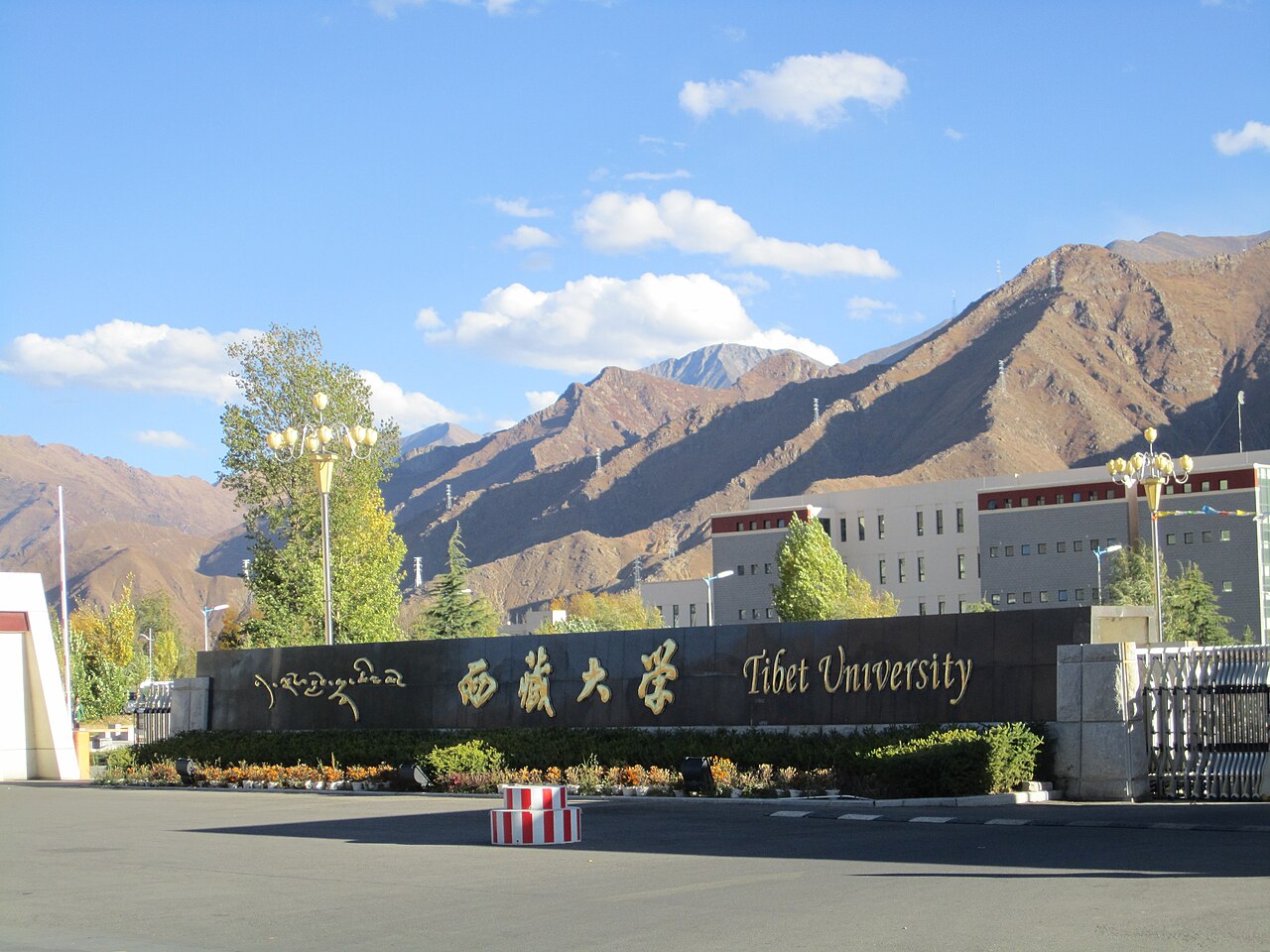 جامعة التبت