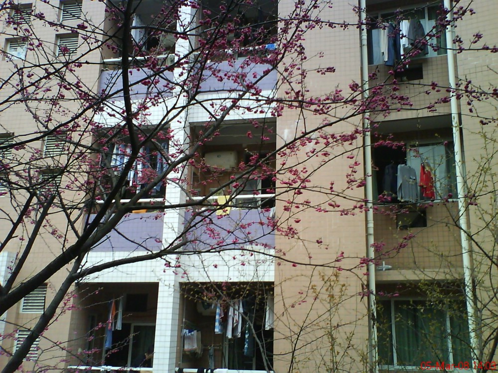 Yangtze University