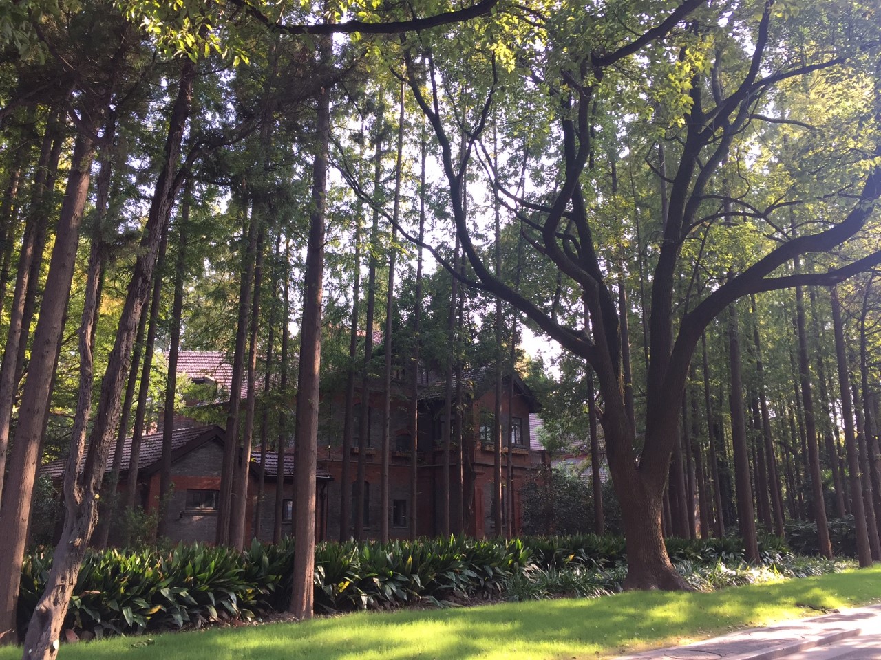 University of Shanghai for Science and Technology
