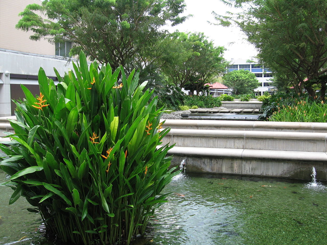 南阳理工学院