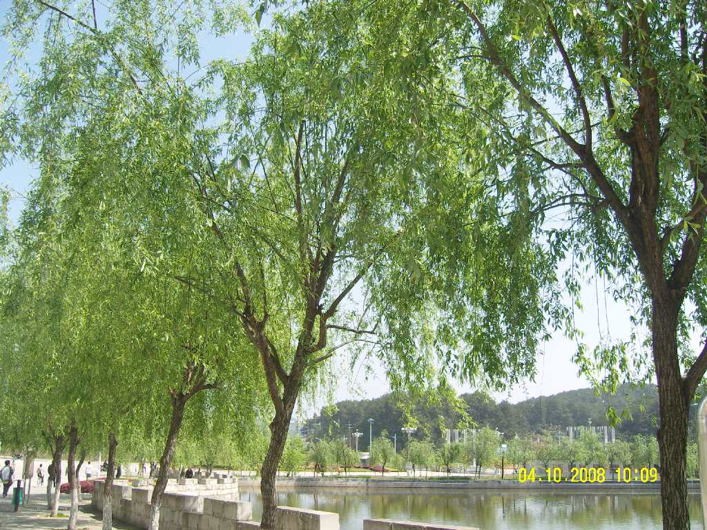Huangshan University