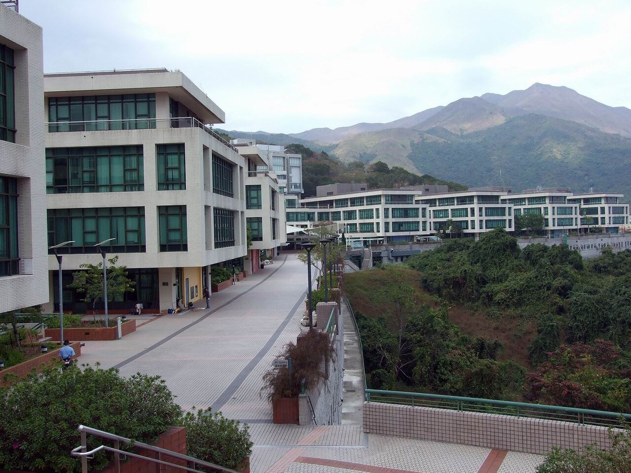 香港教育大学