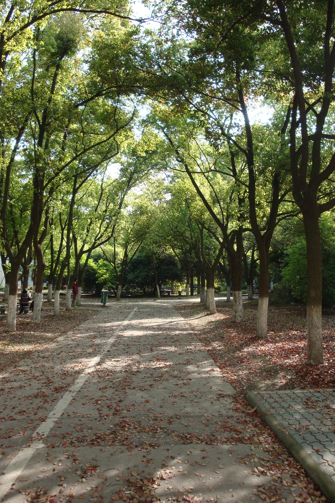 Ningbo University