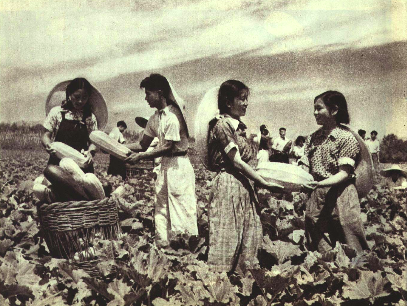 جامعة الصين للزراعة
