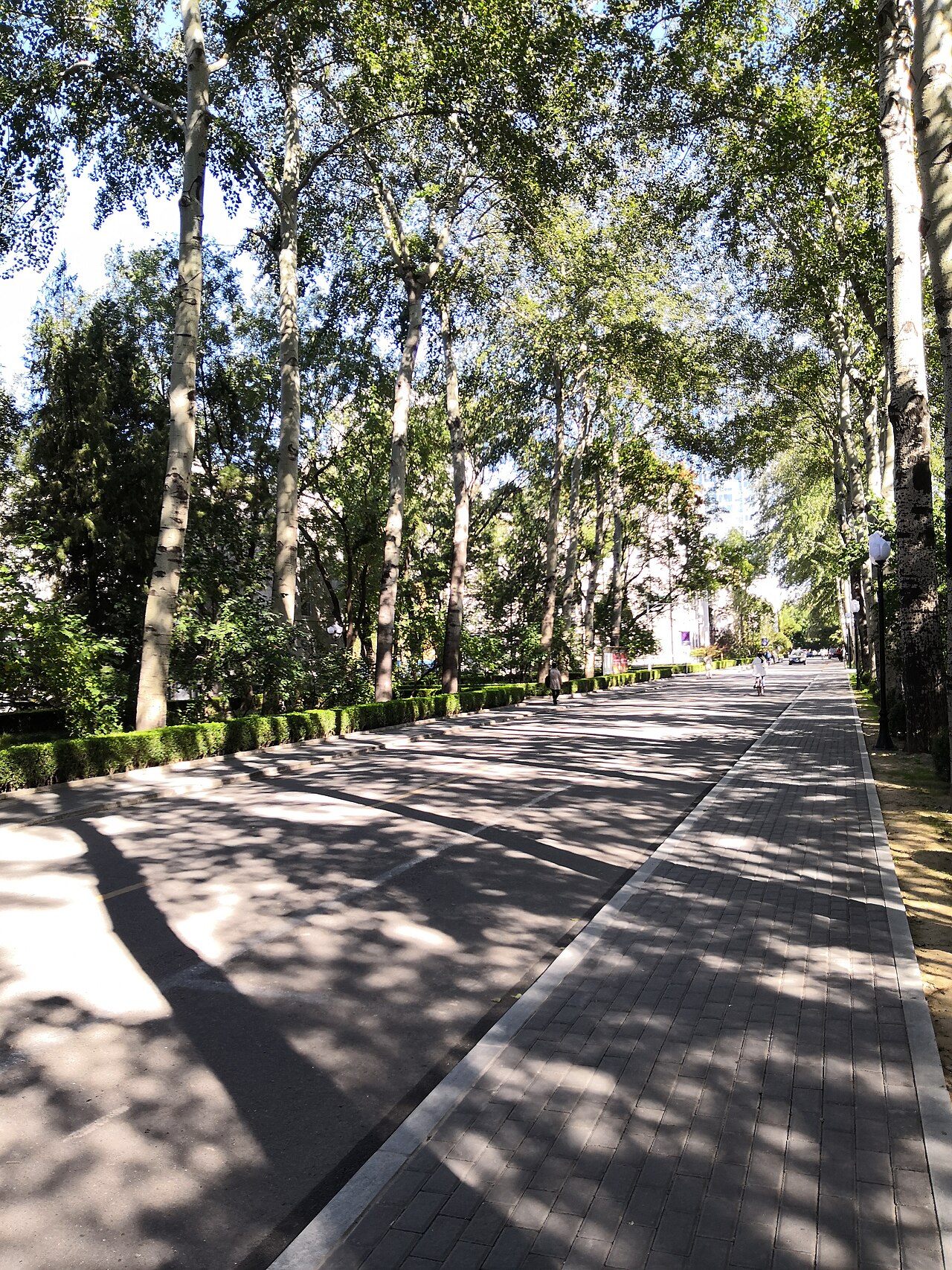 Beijing Institute of Technology