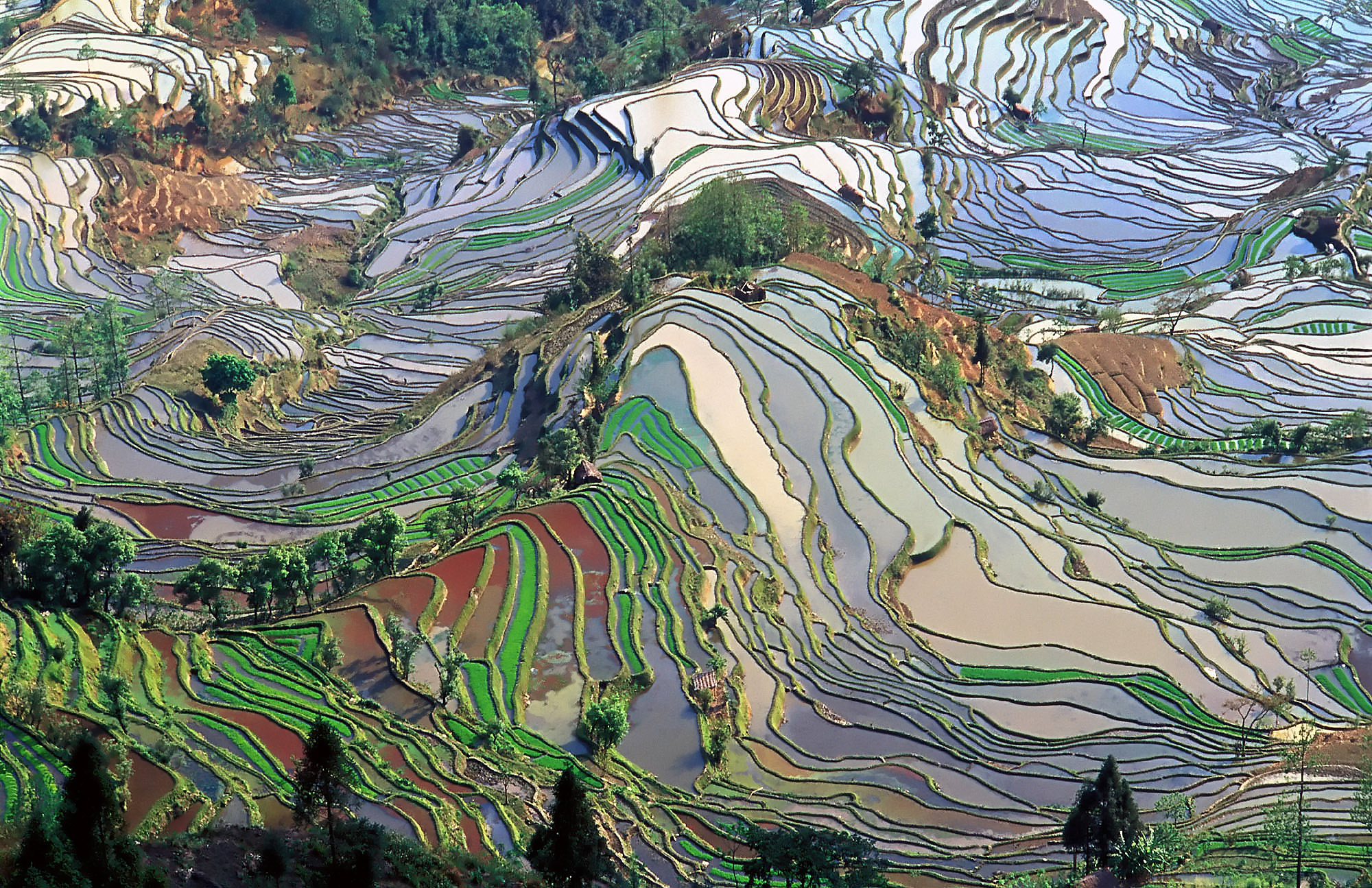 Yuanyang Rice Terraces