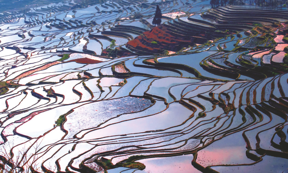 Yuanyang Rice Terraces