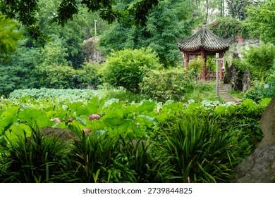 People's Park