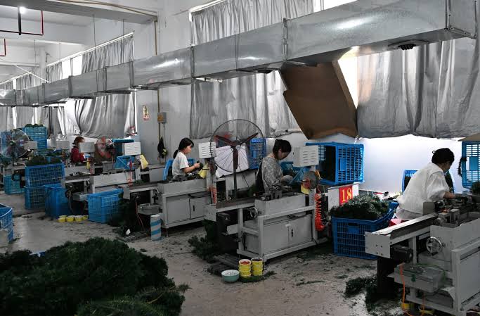我可以帮助你在中国找到任何领域的工厂或制造商