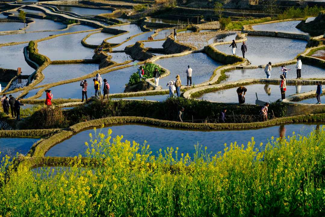 Yuanyang Rice Terraces